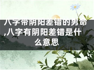 八字带阴阳差错的男命,八字有阴阳差错是什么意思