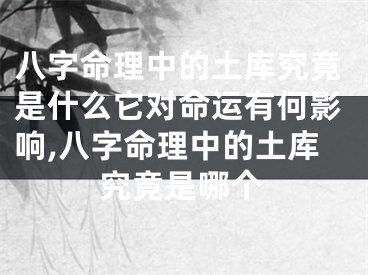 八字命理中的土库究竟是什么它对命运有何影响,八字命理中的土库究竟是哪个