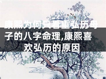 康熙为何只看重弘历母子的八字命理,康熙喜欢弘历的原因