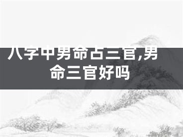 八字中男命占三官,男命三官好吗