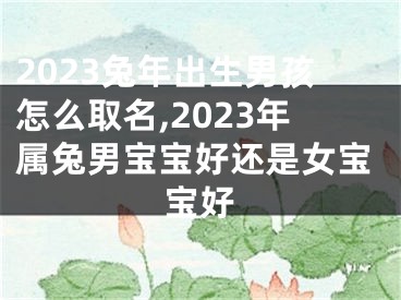 2023兔年出生男孩怎么取名,2023年属兔男宝宝好还是女宝宝好