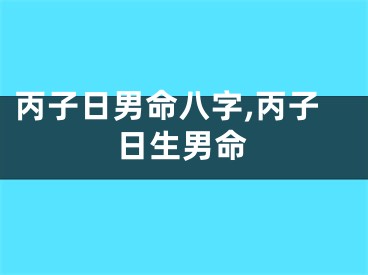 丙子日男命八字,丙子日生男命