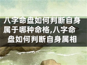 八字命盘如何判断自身属于哪种命格,八字命盘如何判断自身属相
