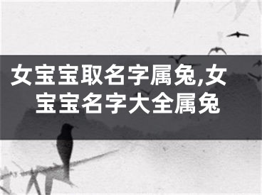 女宝宝取名字属兔,女宝宝名字大全属兔