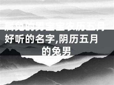 属兔的男宝宝农历五月好听的名字,阴历五月的兔男