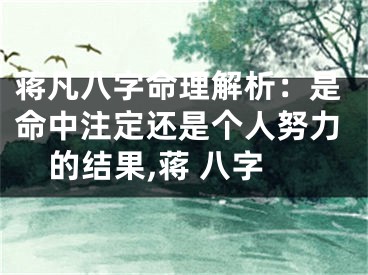 蒋凡八字命理解析：是命中注定还是个人努力的结果,蒋 八字