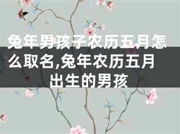 兔年男孩子农历五月怎么取名,兔年农历五月出生的男孩
