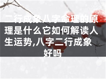 二行成象八字命理的原理是什么它如何解读人生运势,八字二行成象好吗