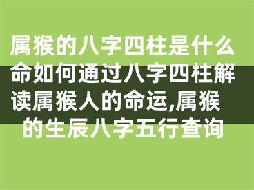 属猴的八字四柱是什么命如何通过八字四柱解读属猴人的命运,属猴的生辰八字五行查询