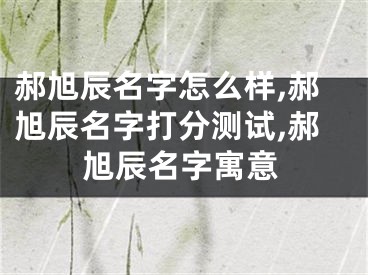 郝旭辰名字怎么样,郝旭辰名字打分测试,郝旭辰名字寓意