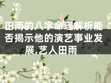 田雨的八字命理解析能否揭示他的演艺事业发展,艺人田雨