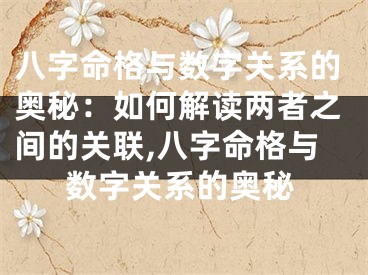 八字命格与数字关系的奥秘:如何解读两者之间的关联,八字命格与数字关系的奥秘