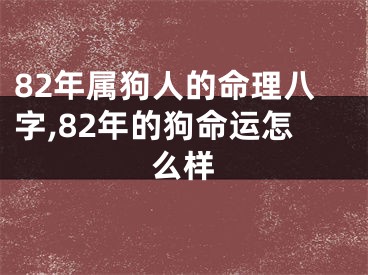 82年属狗人的命理八字,82年的狗命运怎么样
