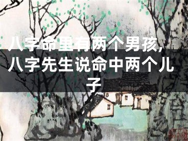 八字命里有两个男孩,八字先生说命中两个儿子