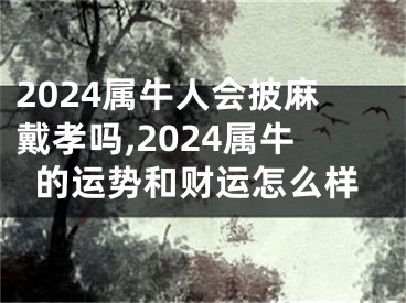 2024属牛人会披麻戴孝吗,2024属牛的运势和财运怎么样