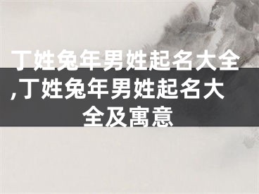 丁姓兔年男姓起名大全,丁姓兔年男姓起名大全及寓意