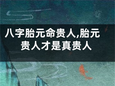 八字胎元命贵人,胎元贵人才是真贵人