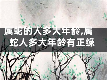 属蛇的人多大年龄,属蛇人多大年龄有正缘
