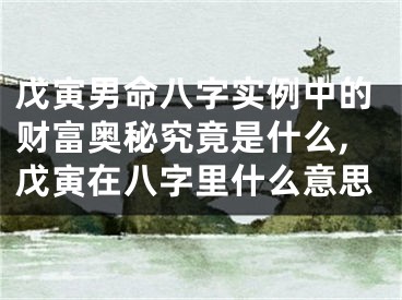 戊寅男命八字实例中的财富奥秘究竟是什么,戊寅在八字里什么意思