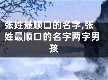 张姓最顺口的名字,张姓最顺口的名字两字男孩