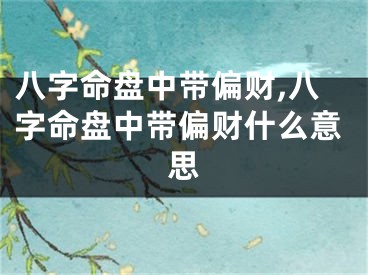 八字命盘中带偏财,八字命盘中带偏财什么意思