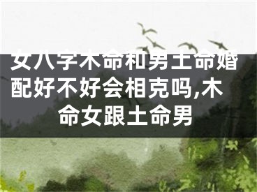 女八字木命和男土命婚配好不好会相克吗,木命女跟土命男