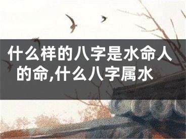 什么样的八字是水命人的命,什么八字属水