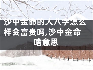 沙中金命的人八字怎么样会富贵吗,沙中金命啥意思