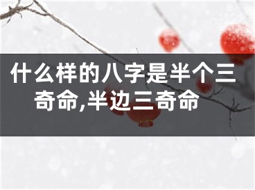 什么样的八字是半个三奇命,半边三奇命