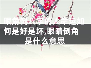 眼角倒八字的人命运如何是好是坏,眼睛倒角是什么意思