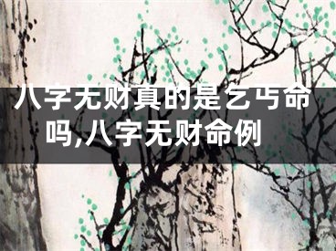 八字无财真的是乞丐命吗,八字无财命例