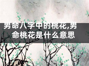 男命八字中的桃花,男命桃花是什么意思