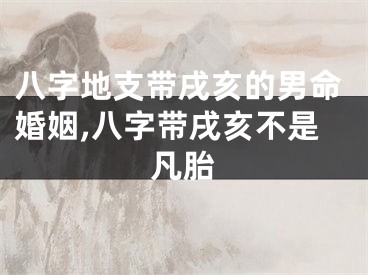 八字地支带戌亥的男命婚姻,八字带戌亥不是凡胎