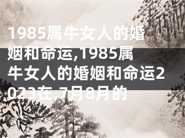 1985属牛女人的婚姻和命运,1985属牛女人的婚姻和命运2023在,7月8月的