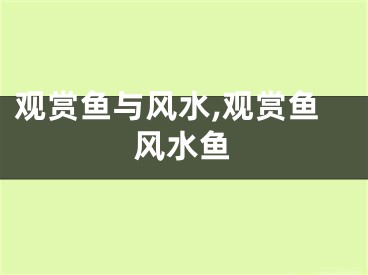 观赏鱼与风水,观赏鱼风水鱼