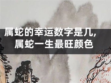 属蛇的幸运数字是几,属蛇一生最旺颜色