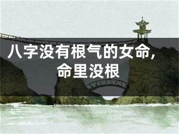 八字没有根气的女命,命里没根