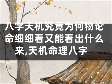 八字天机究竟为何物论命细细看又能看出什么来,天机命理八字