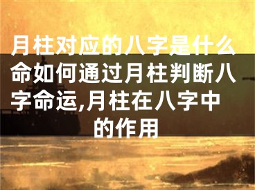 月柱对应的八字是什么命如何通过月柱判断八字命运,月柱在八字中的作用