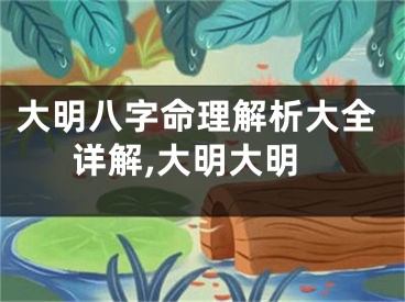 大明八字命理解析大全详解,大明大明
