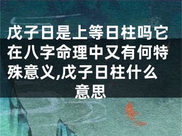 戊子日是上等日柱吗它在八字命理中又有何特殊意义,戊子日柱什么意思