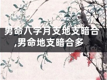 男命八字月支地支暗合,男命地支暗合多