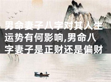 男命妻子八字对其人生运势有何影响,男命八字妻子是正财还是偏财
