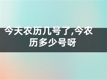 今天农历几号了,今农历多少号呀
