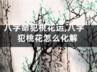 八字命犯桃花运,八字犯桃花怎么化解