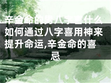 辛金命的男八字喜什么如何通过八字喜用神来提升命运,辛金命的喜忌