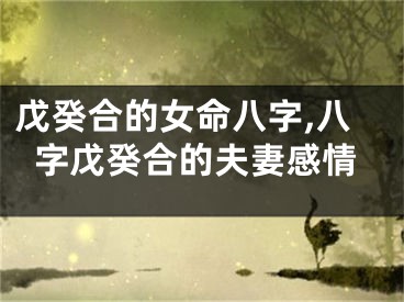 戊癸合的女命八字,八字戊癸合的夫妻感情