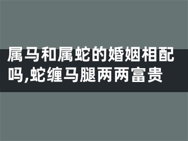 属马和属蛇的婚姻相配吗,蛇缠马腿两两富贵