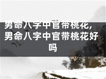 男命八字中官带桃花,男命八字中官带桃花好吗