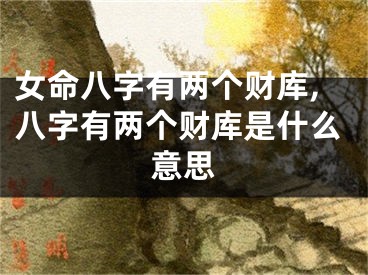 女命八字有两个财库,八字有两个财库是什么意思